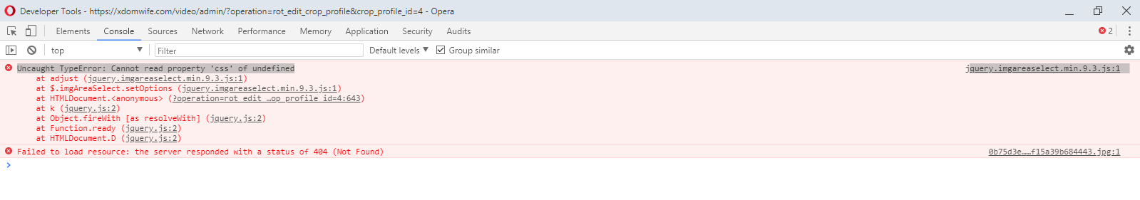 crop.console.error.png